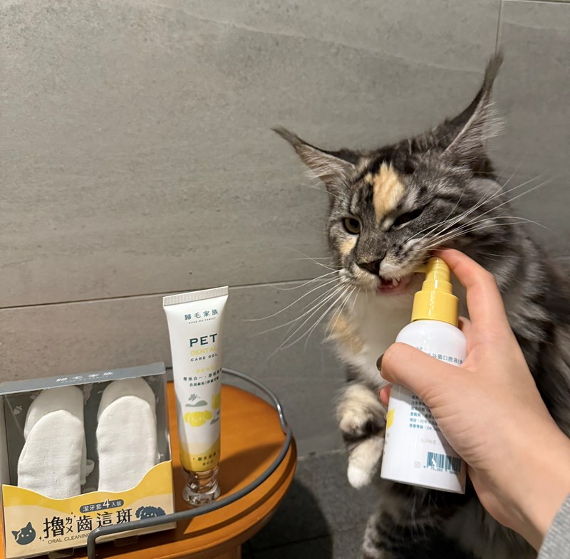 試用